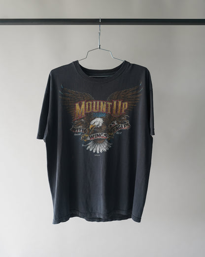 00's Mount Up on WIngs Like Eagles Jesus Tee - Large